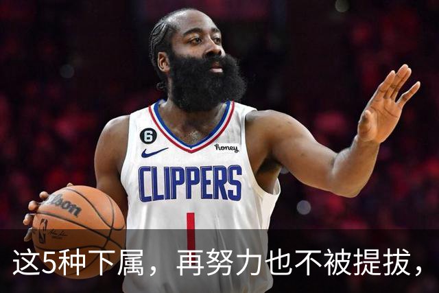 这5种下属，再努力也不被提拔，领导私下里最反感